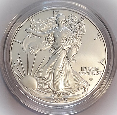 G-L-B-49's-American-Silver-Eagle-Collection