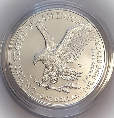 G-L-B-49's-American-Silver-Eagle-Collection