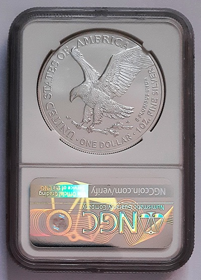 G-L-B-49's-American-Silver-Eagle-Collection