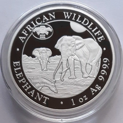 Post-Your-Coins-With-Elephants.