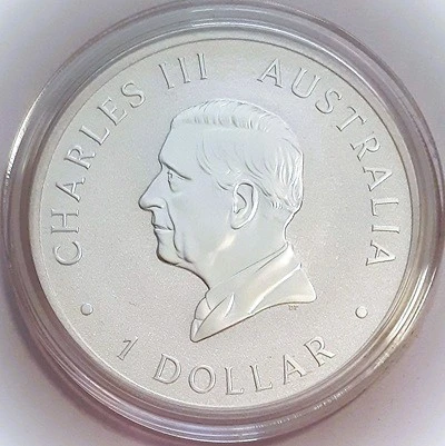 Post-Your-Coins-Issued-By-The-Mint-As-Colourised-Coins.