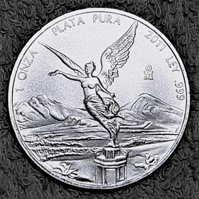G-L-B-49's-Silver-Libertad-Collection