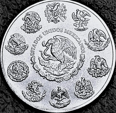 G-L-B-49's-Silver-Libertad-Collection