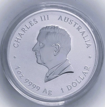 G-L-B-49's-Dragon-Silver-Coins