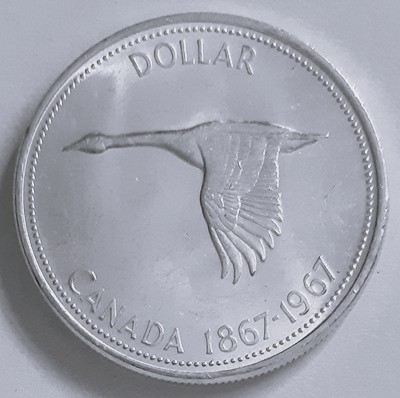 Post-Your-Bird-Coins