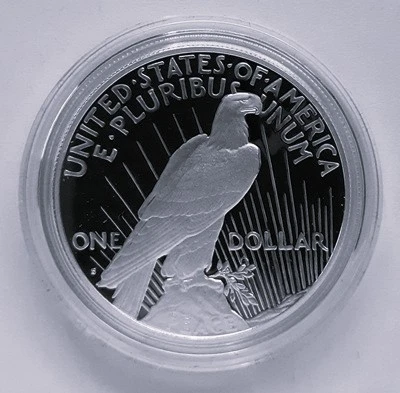 G-L-B-49's-Random-Silver-Coins