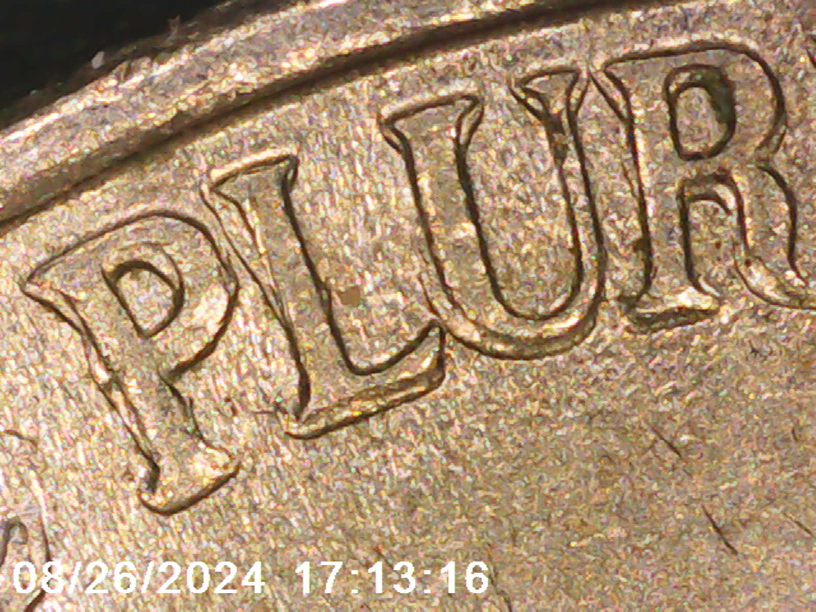 1999-P-Nickel-Full-Of-MDS-Or-Are-They-DDs?