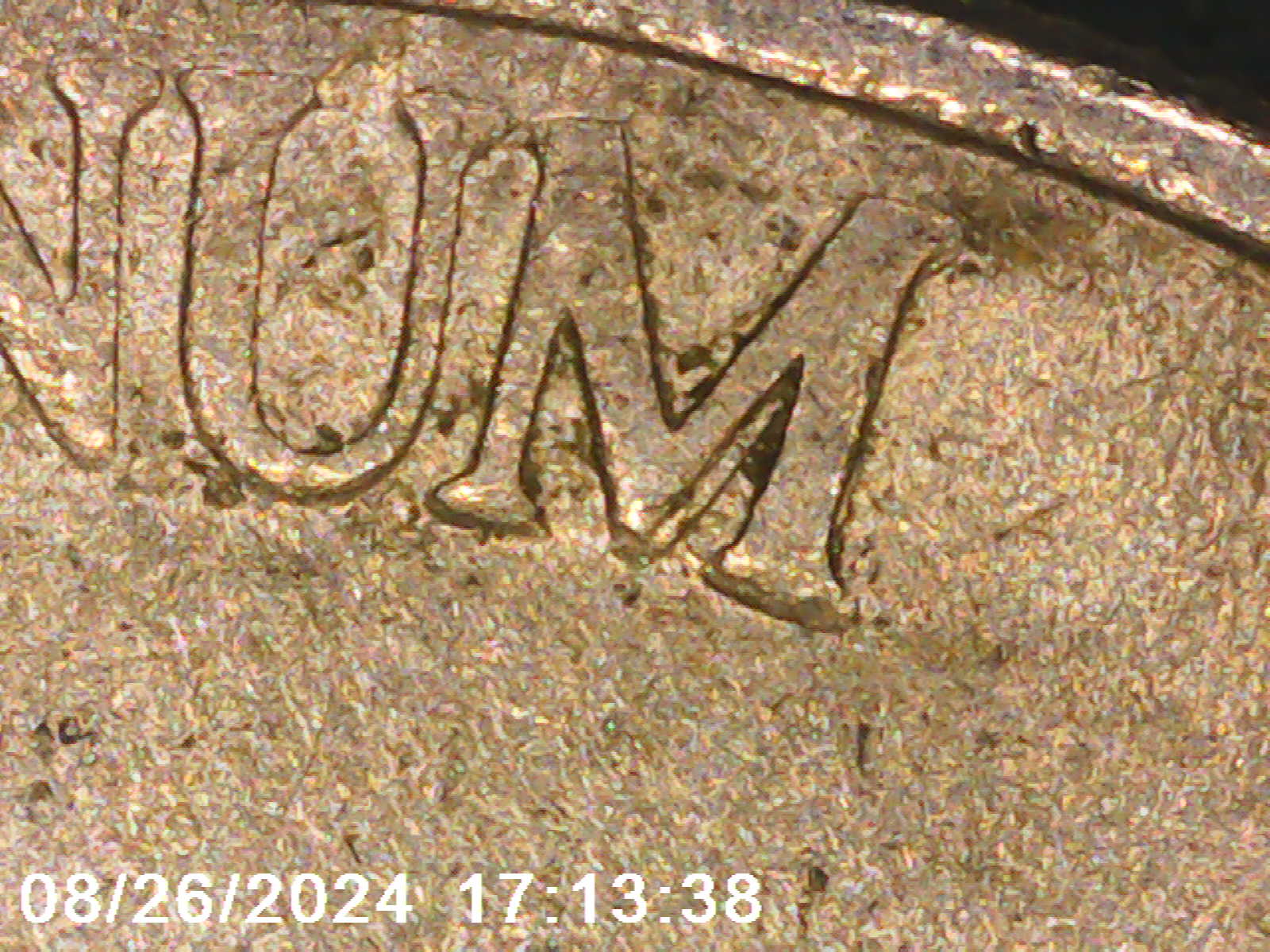 1999-P-Nickel-Full-Of-MDS-Or-Are-They-DDs?