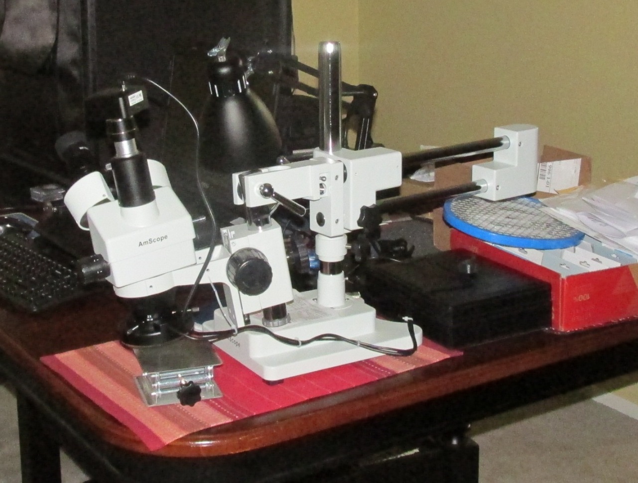 What-Device-Is-Needed-To-Take-Decent-Pictures-Of-Close-Ups?