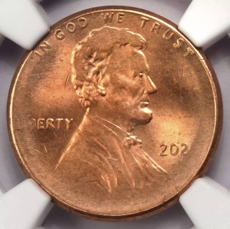 2021-D-Weak-Strike-Shield-Cent