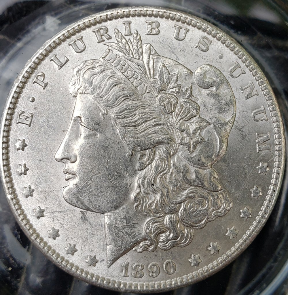 Pawn-Shop-Pickup-1890-Morgan