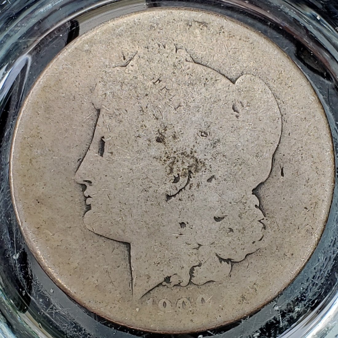 Where's-Waldo?-The-Story-Of-A-$10-Morgan.