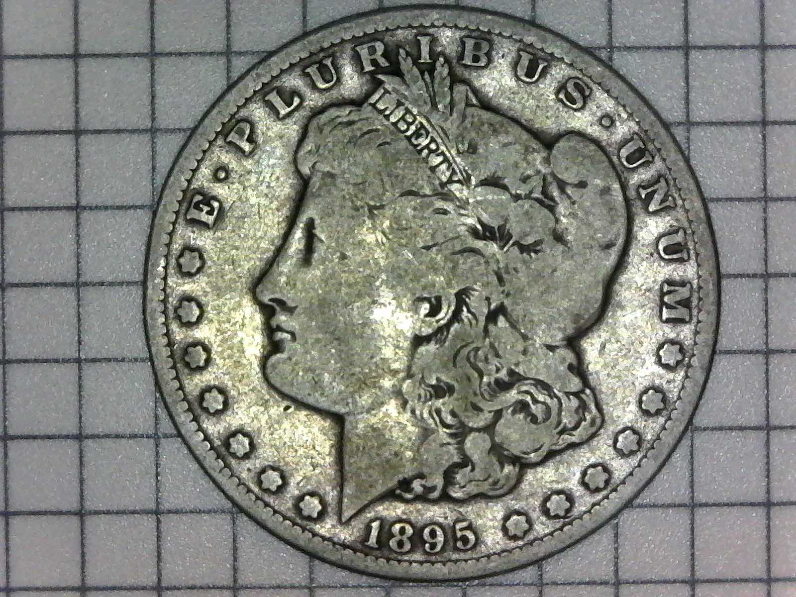 What-Grade?-1895-S-Morgan-Dollar