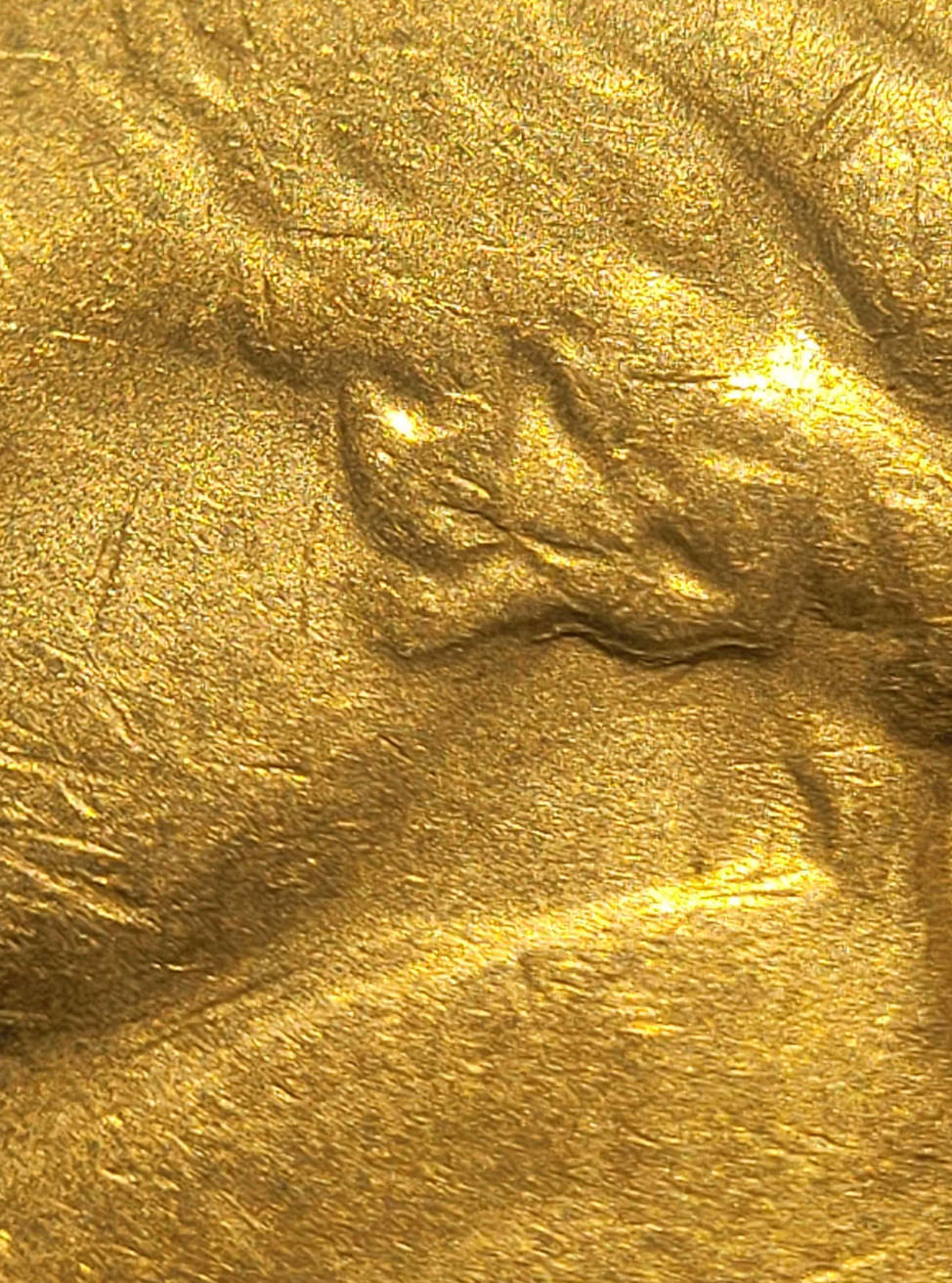 1962-Jefferson-Nickel-Lamination-Induced-Ragged-Clip-+-Potential-Unattributed-DDO-?