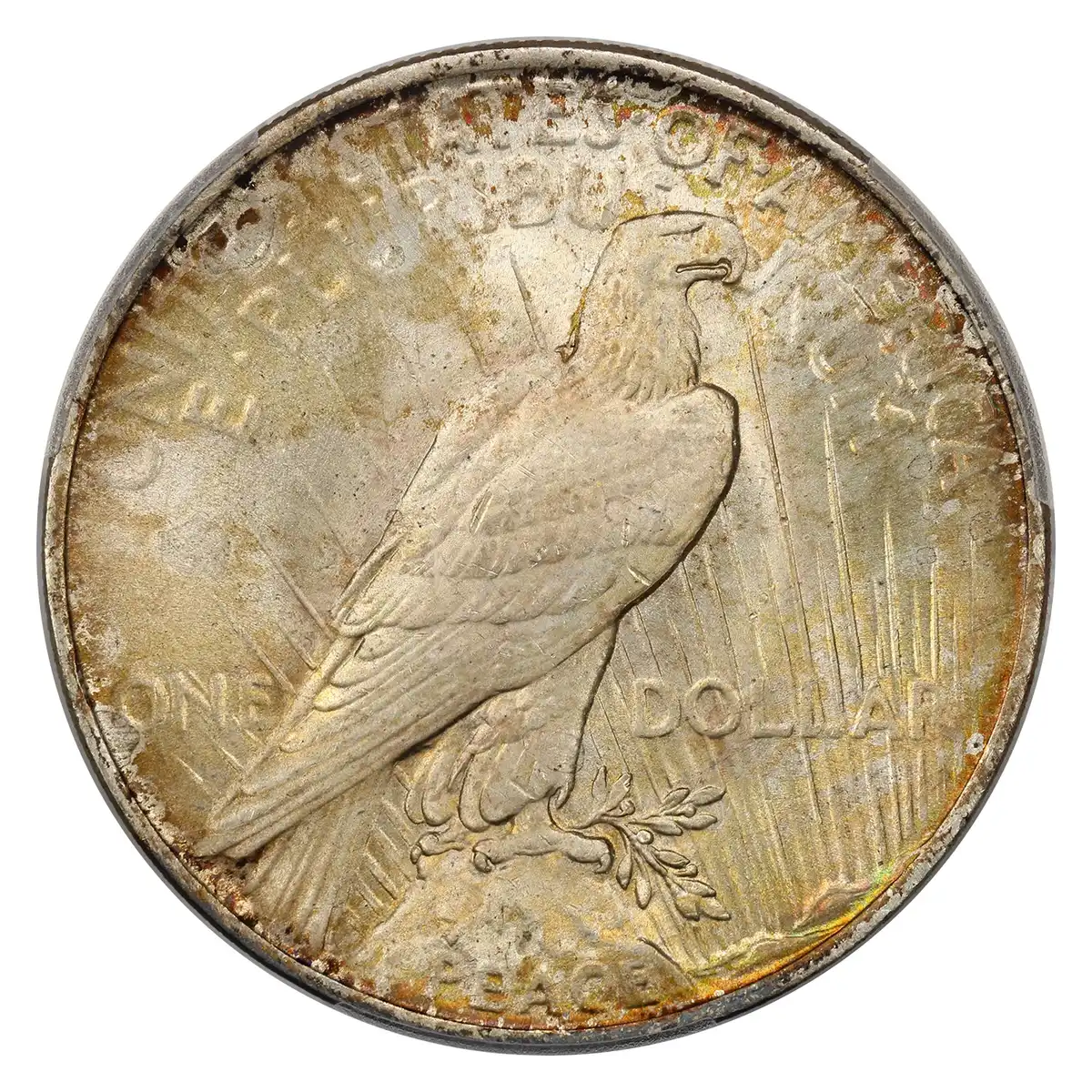 1923-Peace-Dollar-You-Vs-PCGS