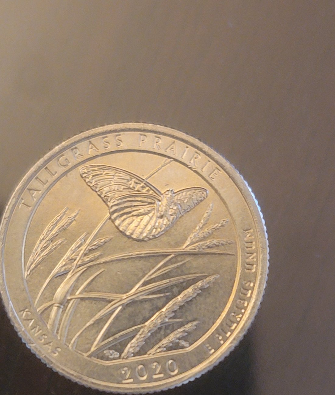 2015-S-Quarter-I-Found-In-My-Pocket-Change.