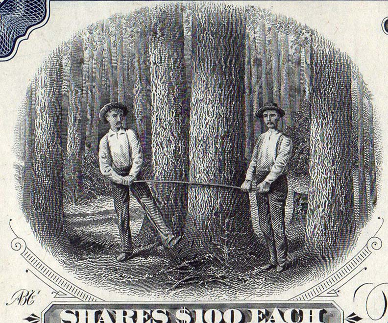 Into-The-Woods:-Forest-Products-Stocks-&-Bonds