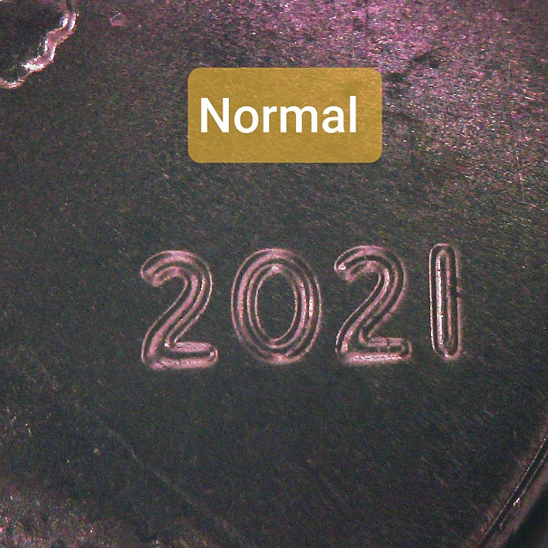 2021-P--LSC-Date-Question