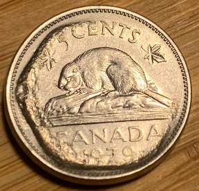 Found-This-Nickel-While-Counting-Sons-Saved-Change