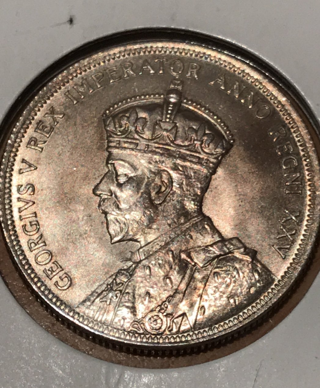 Opinion-1935-Dollar