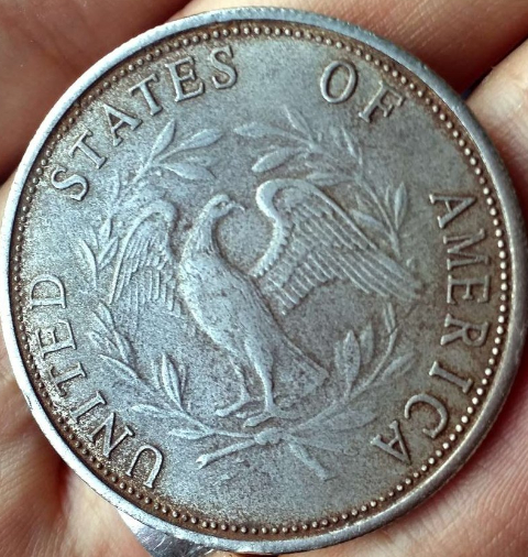 Flowing-Hair-Coin-1795