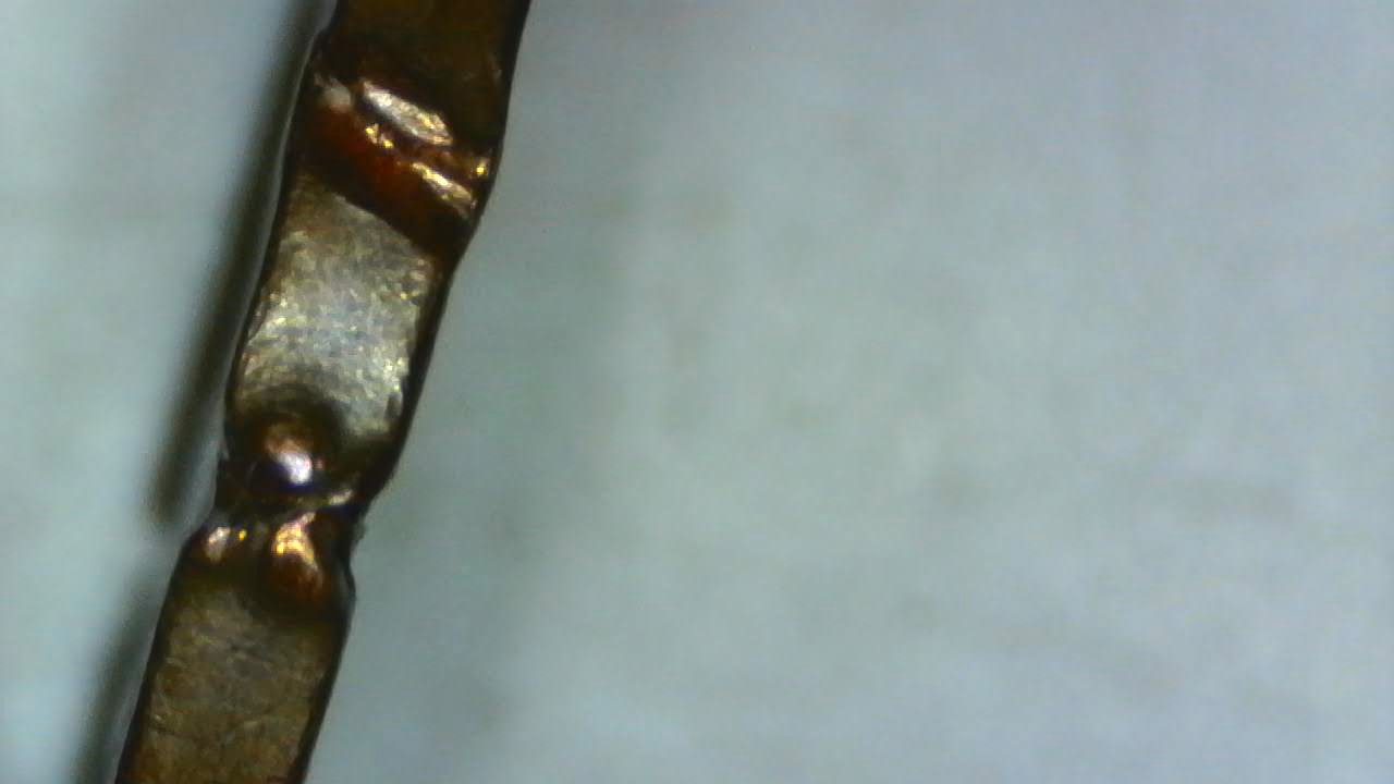 1981-Penny-Damage-Or-Error