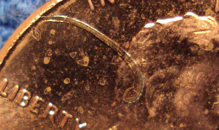 2015-P-Shield-Cent-With-Copper-Sliver-Struck-On-Coin