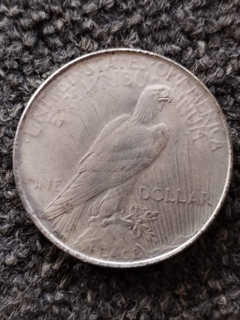 Silver-Dollars-Bought-On-Auction---Fake-Or-Real?