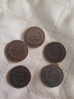 Help;-Walking-Liberty,-Indian-Heads,-And-Buffalo-Nickel