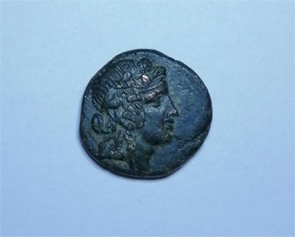 Pontus-Coin-?