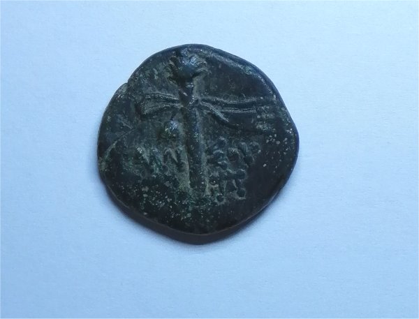 Pontus-Coin-?