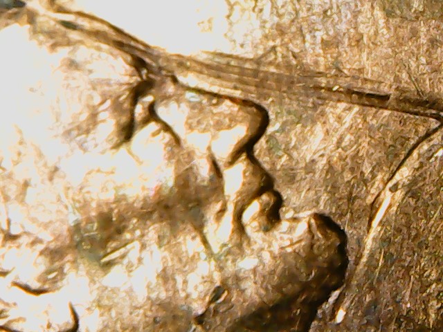 2013-Lincoln-Cent-Possible-Error-Strike