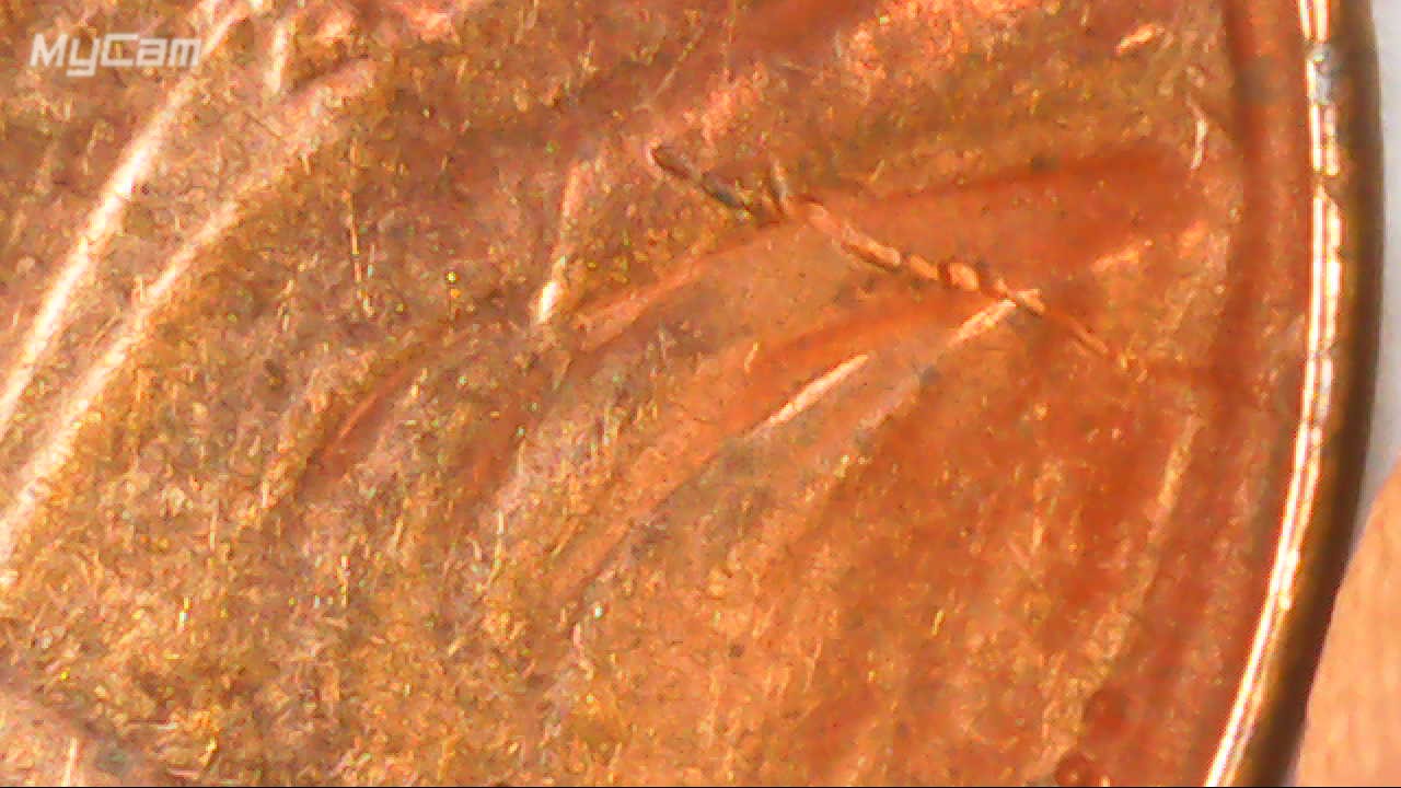 2020-D-Penny-Die-Crack-Or-Deteriorated-Die