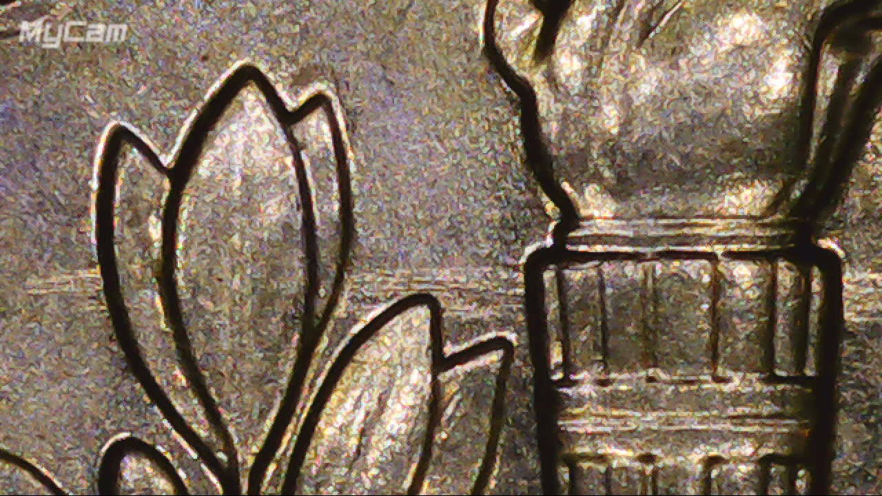 2021-P-Dime.-Is-This-A-Polishing-Event-Or-Something-Else.