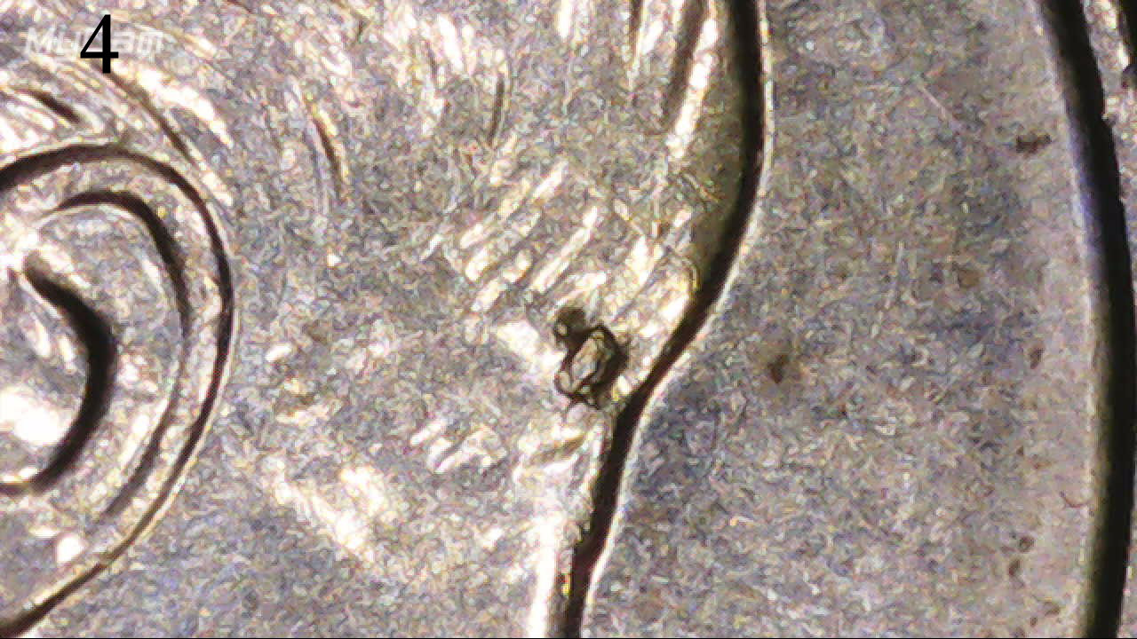 2021-P-Dime.-A-Lot-Of-Chips-And-Cracks-On-This-One.