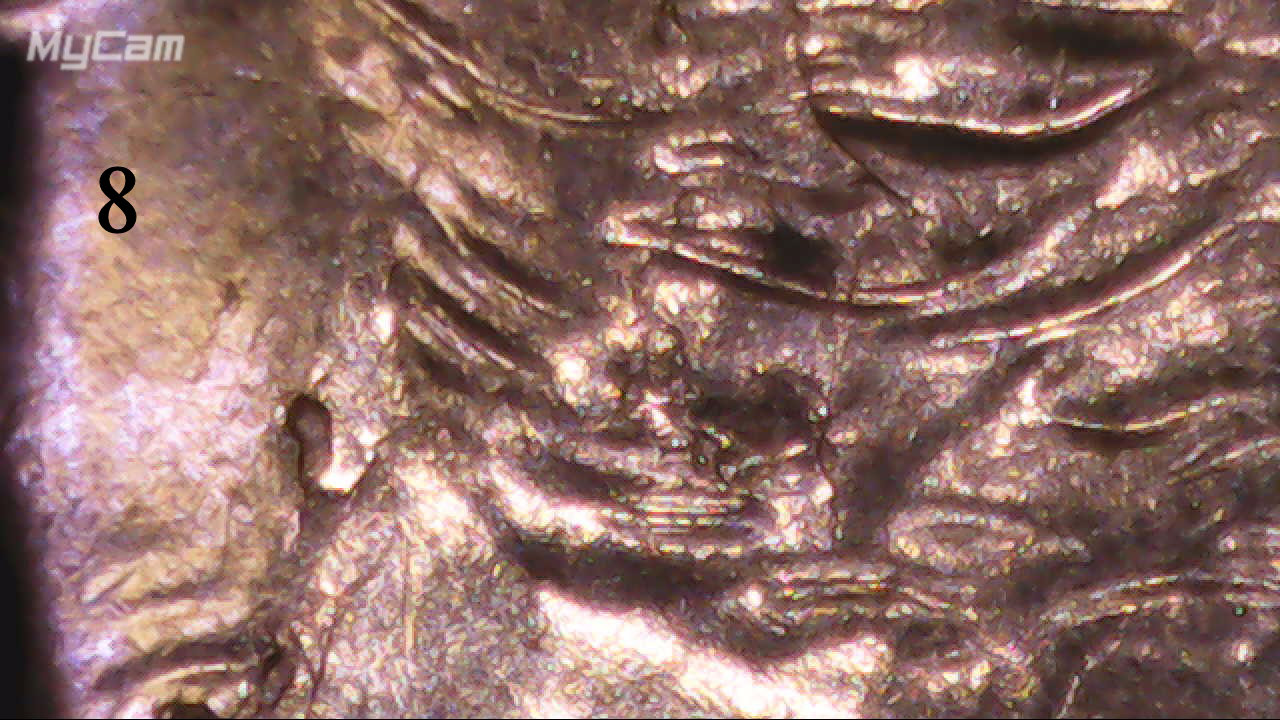 2021-P-Dime.-A-Lot-Of-Chips-And-Cracks-On-This-One.