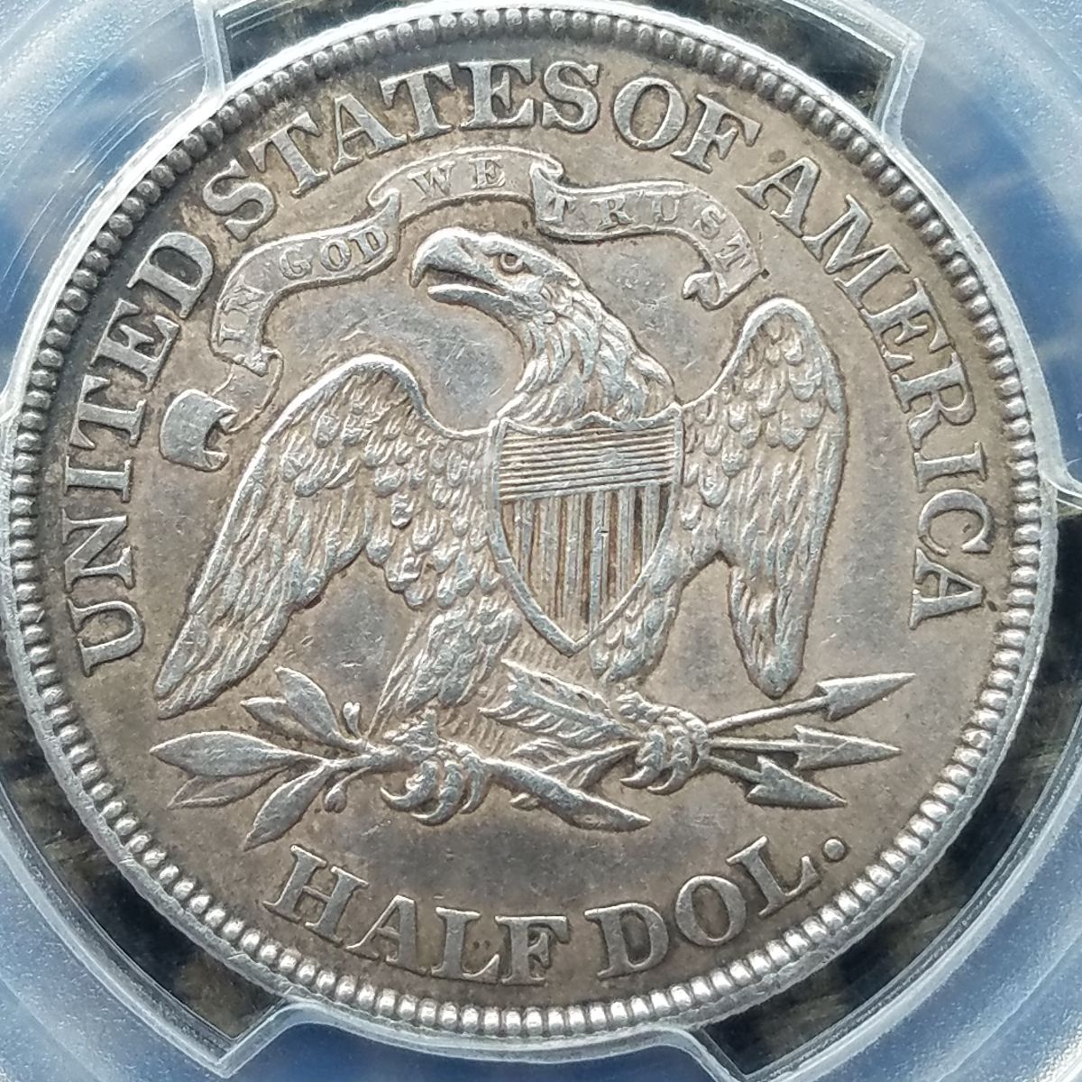 1873-Seated-Half-Dollar,-You-Vs-TPG