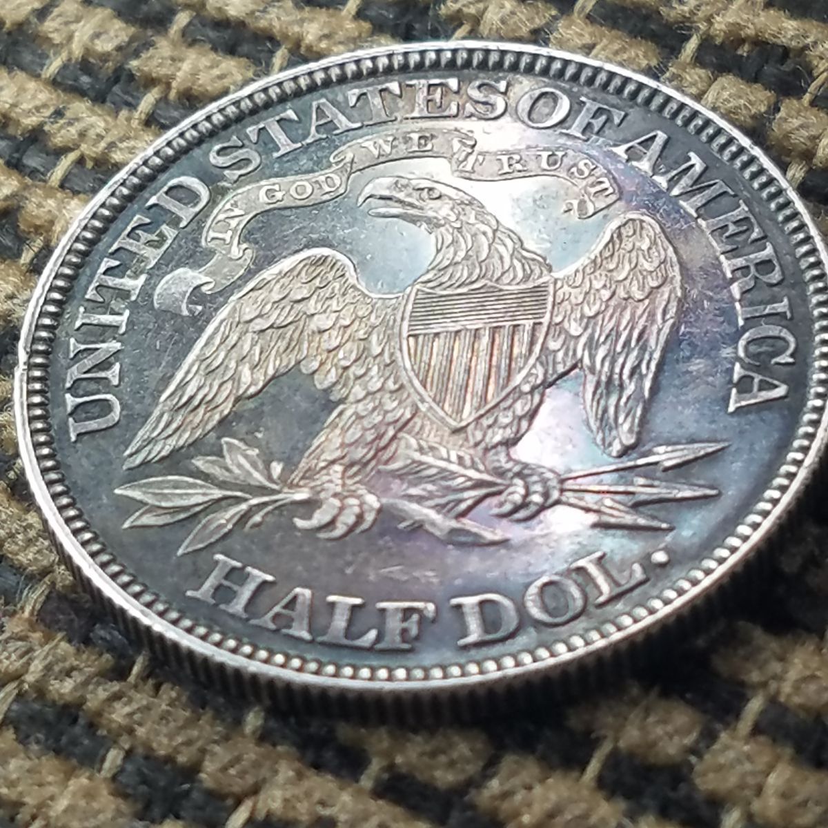 1882-Half-Dollar-For-Grading