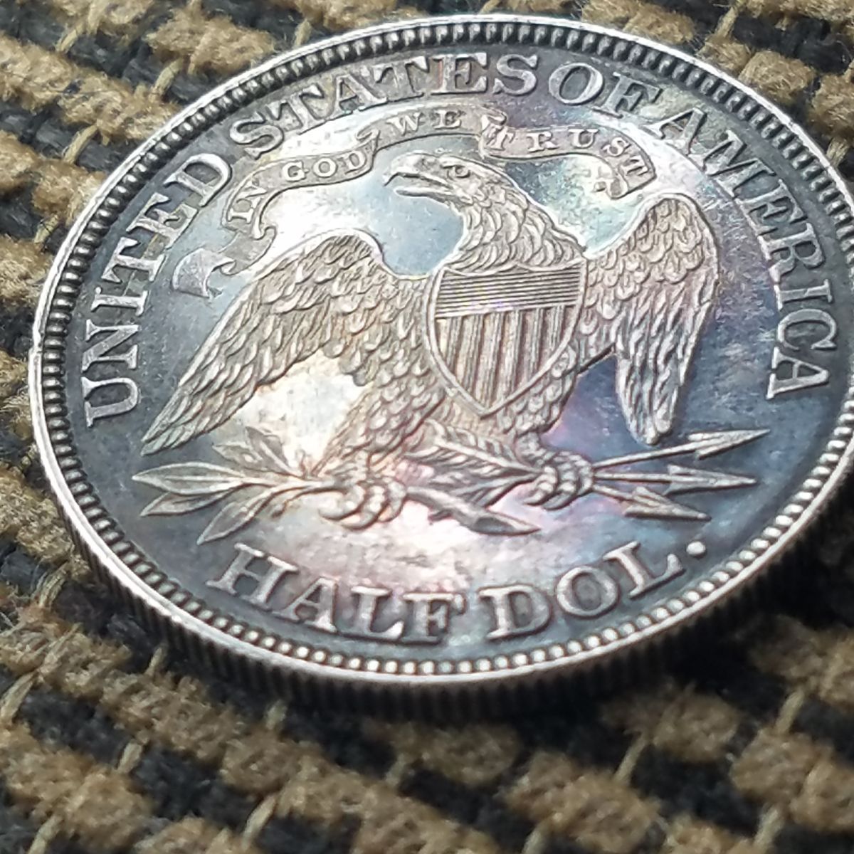 1882-Half-Dollar-For-Grading
