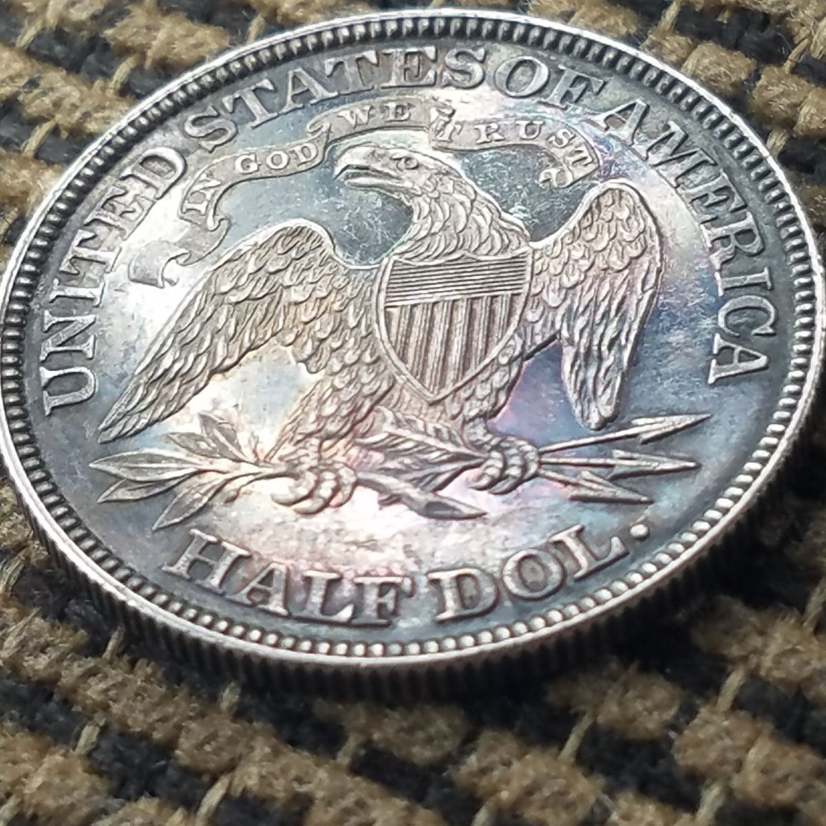 1882-Half-Dollar-For-Grading