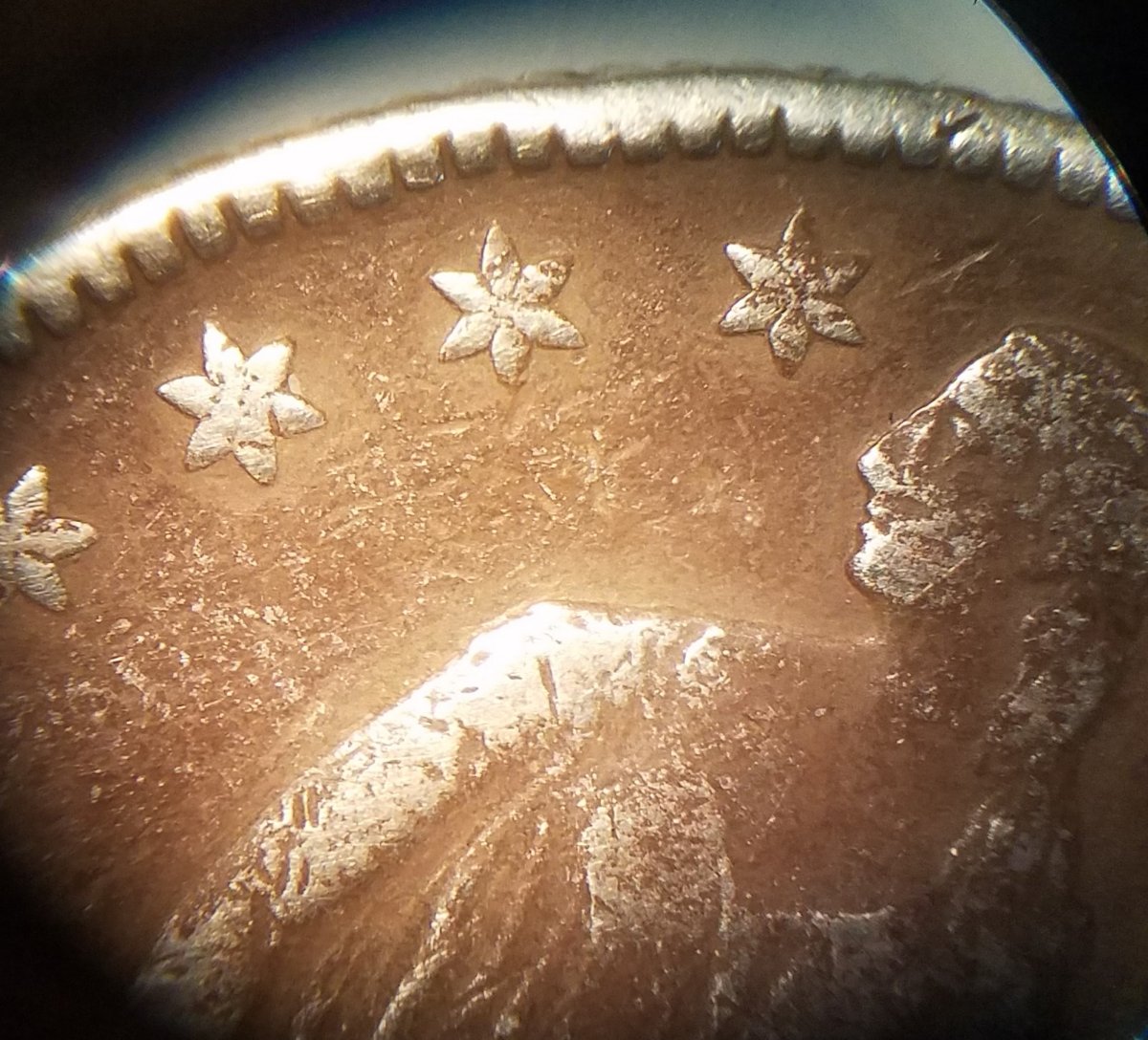 1855-S-Half-Dollar-Grade-&-Opinions.