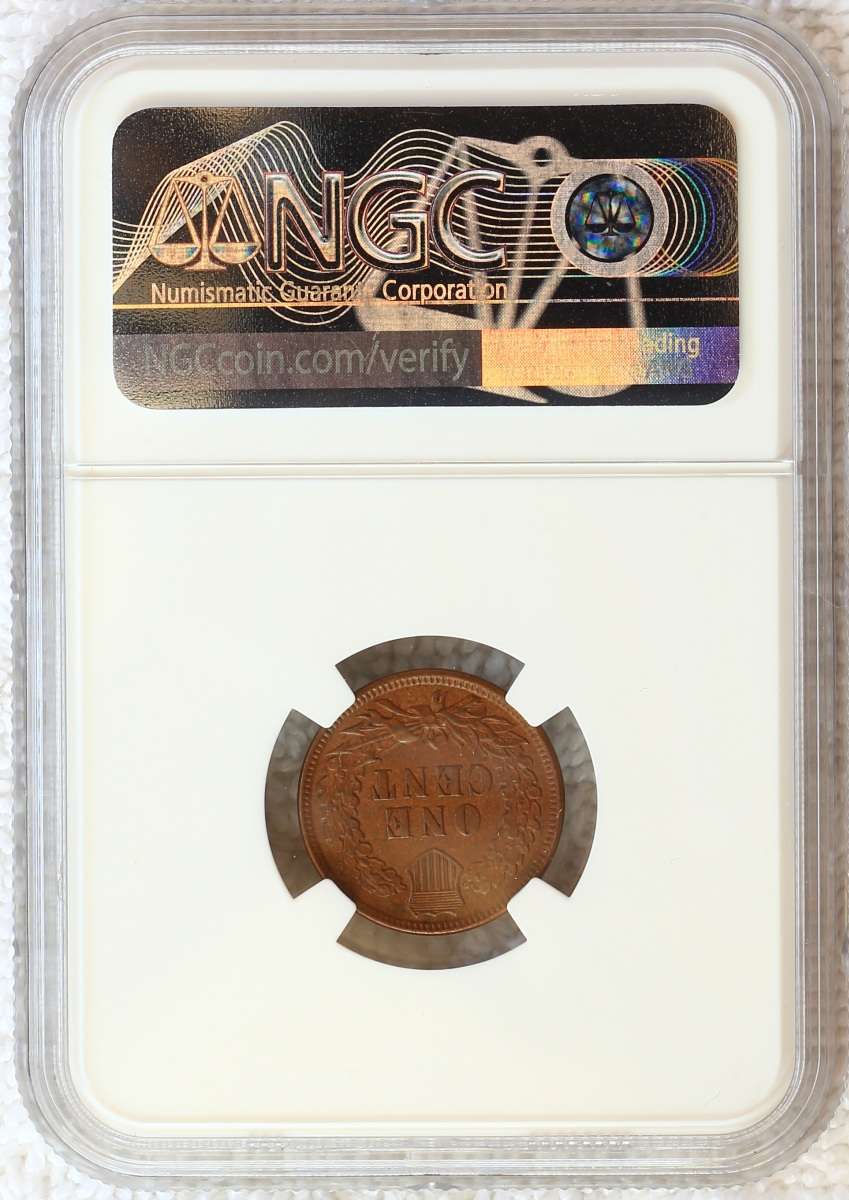 Flying-Eagle-And-Indian-Head-Cents-And-A-Future-Long-Term-Project