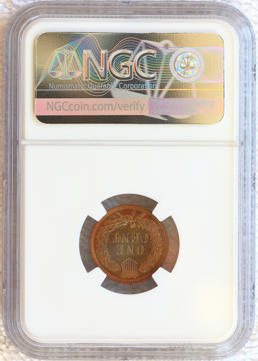 Flying-Eagle-And-Indian-Head-Cents-And-A-Future-Long-Term-Project