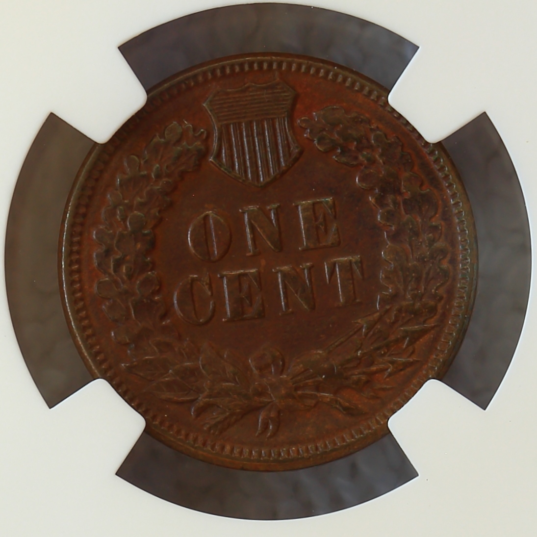 Flying-Eagle-And-Indian-Head-Cents-And-A-Future-Long-Term-Project