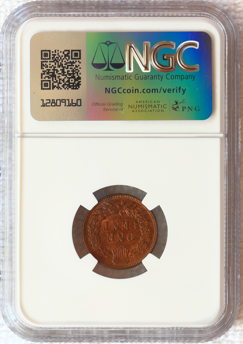 Flying-Eagle-And-Indian-Head-Cents-And-A-Future-Long-Term-Project