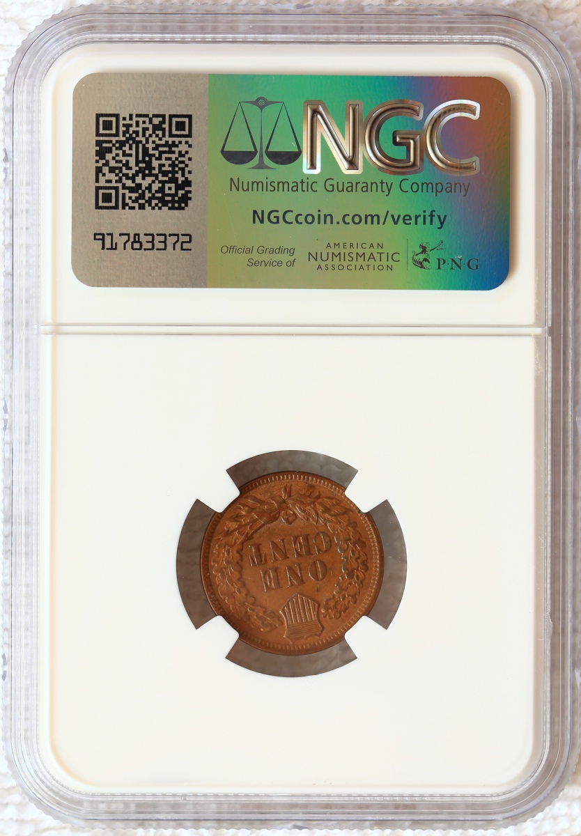 Flying-Eagle-And-Indian-Head-Cents-And-A-Future-Long-Term-Project