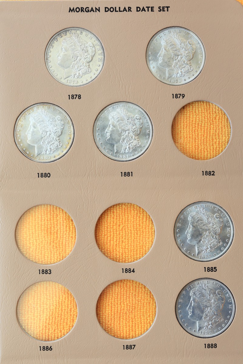 Advice-On-Morgan-Dollars