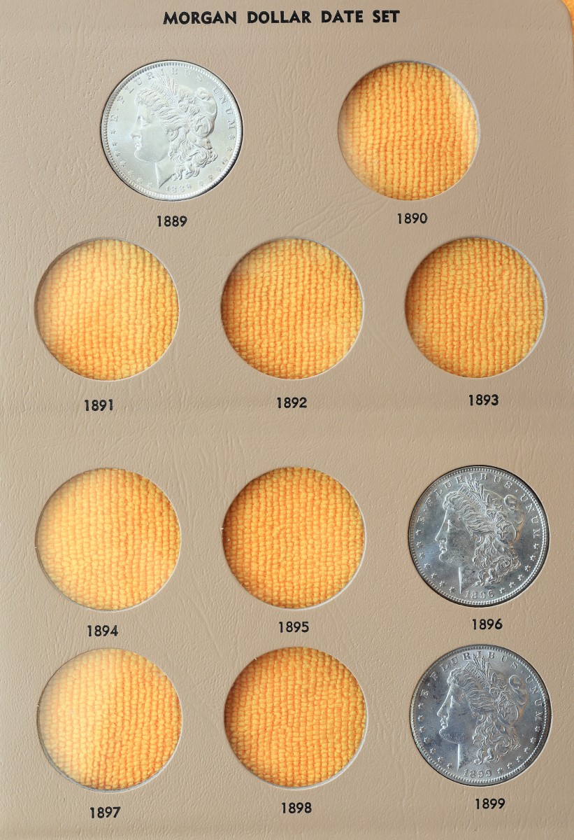 Advice-On-Morgan-Dollars