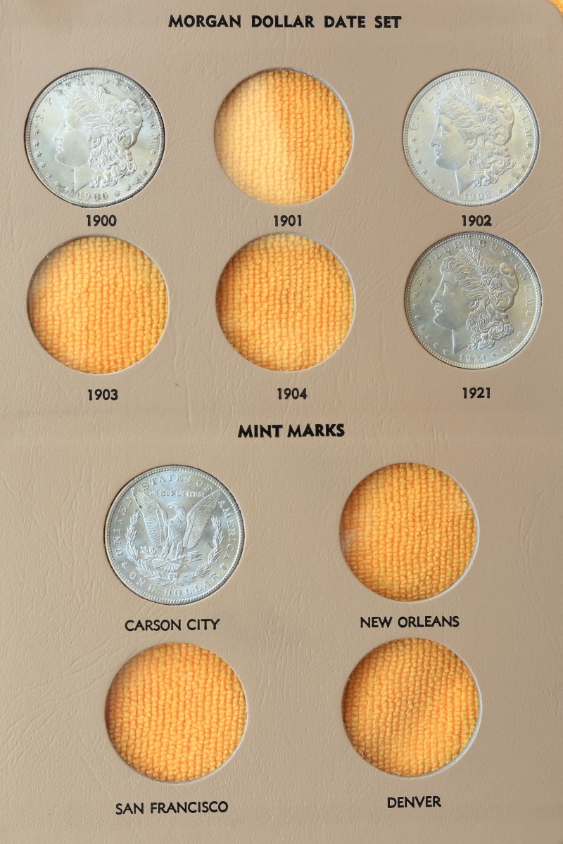 Advice-On-Morgan-Dollars