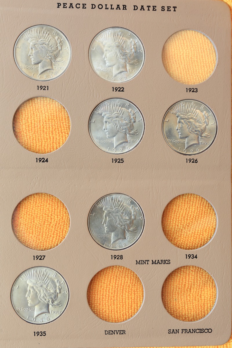 Started-A-Dansco-7172---1878-To-1999-Dollar-Date-Set